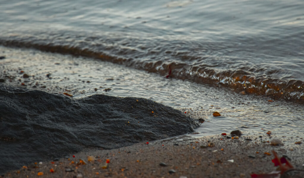 beach_sand